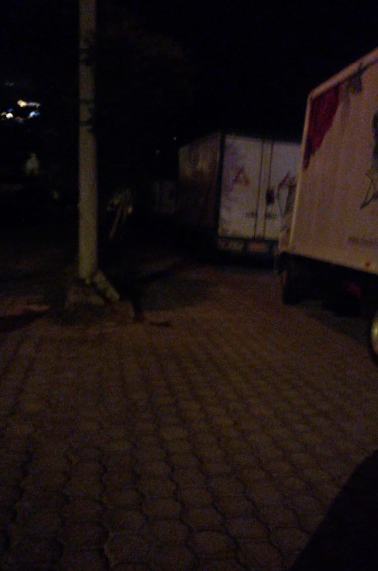 ExpofloresEc's tweet photo. 🛑ACTUALIZACIÓN Nos reportan más de 200 camiones varados en el sector de Guayllabamba. Pidieron a los conductores que salgan de la fila, los amenazaron con palos y piedras. Los manifestantes quieren quitarles las flores para quemar. Estos son actos VANDÁLICOS que no paran. https://t.co/4EmfPkwj9G