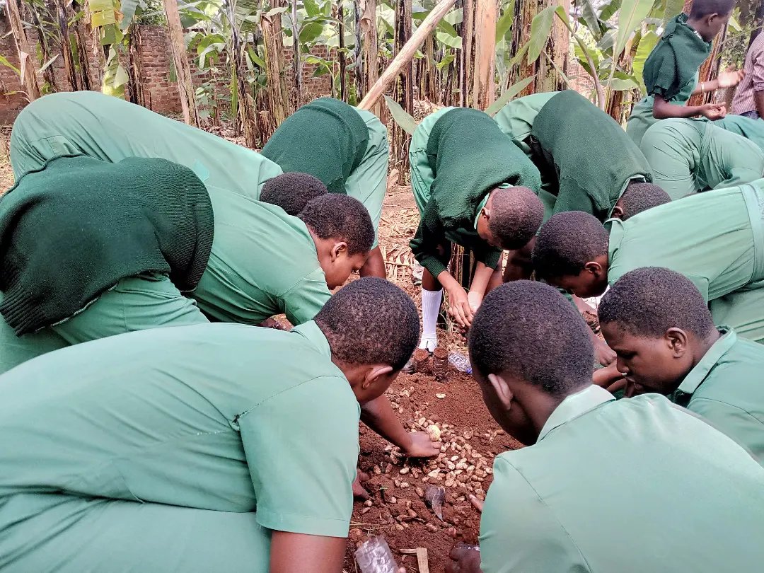 SchoolsTrees1's tweet photo. Climate Education Practical Session in Nakanyonyi Girls School yesterday. If we work together, we win together.
#GreenSchools
#ClimateEducation
#SchoolsTreeProject https://t.co/lJQJY2ke8h