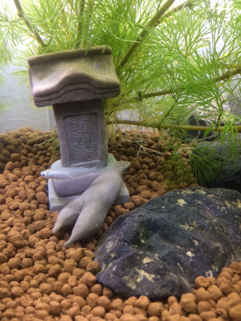Yクレイで作った水槽内のオブジェです～ 魚に害となる物質が含まれてい