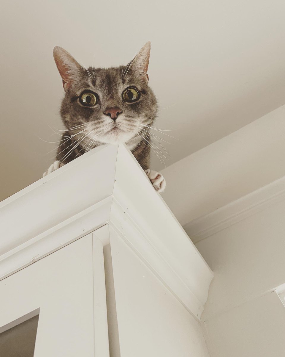 Don Bernier, ACE tweet media