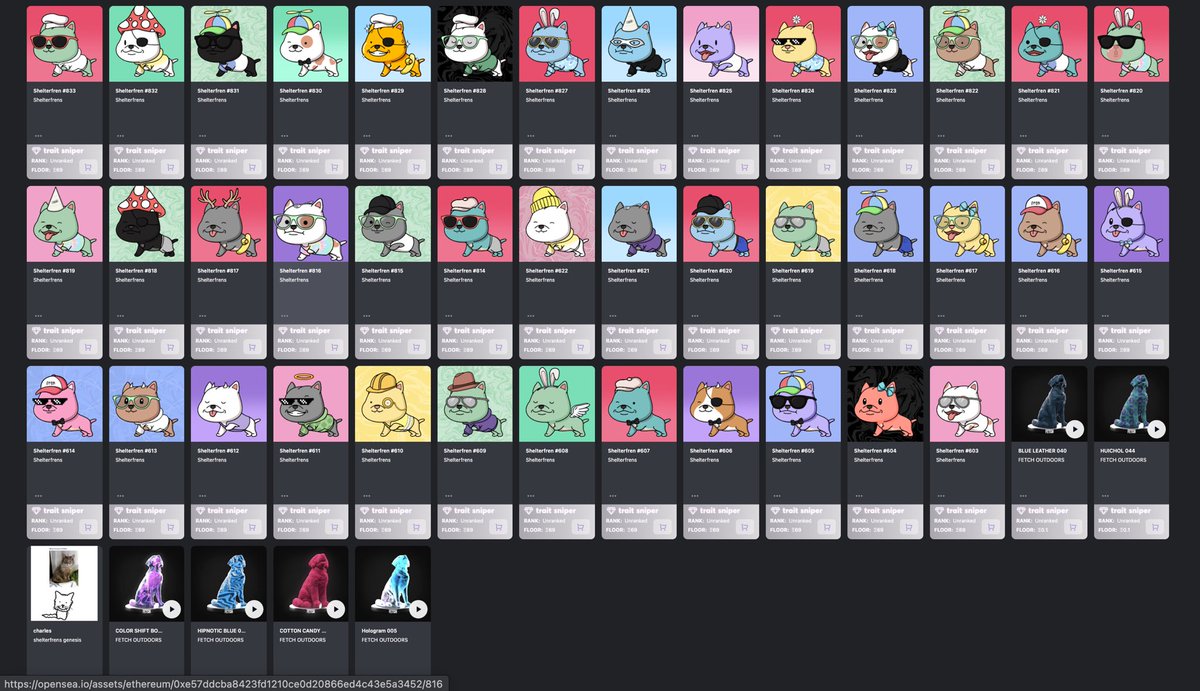 hayleydoteth's tweet image. proud pet mother 🦴 

@shelterfrens 
@FetchMx