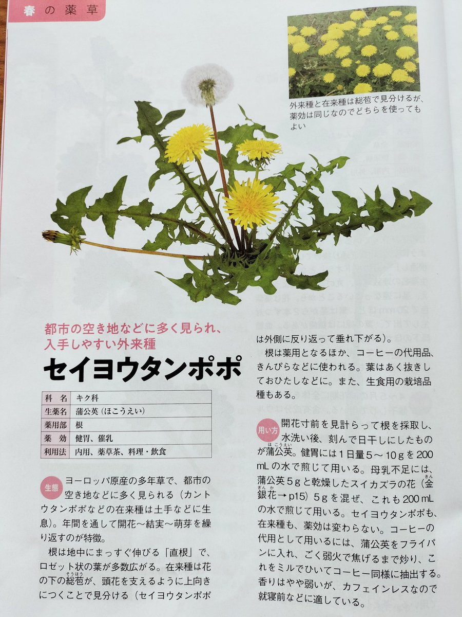 入手困難】薬用植物栽培全科 | web-flake.com