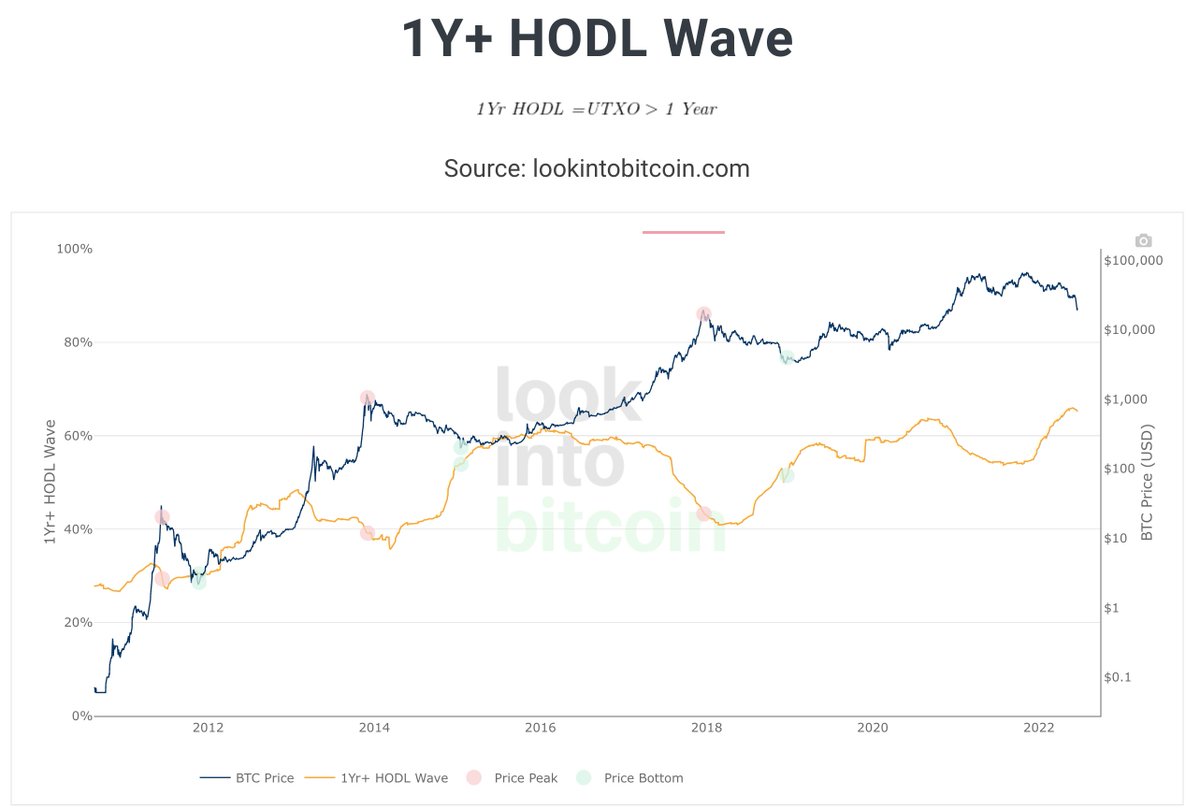 65% of #bitcoin has not been moved in over a year (representing 25% of the  entire #crypto market cap!), even during the crash. Meaning it is in the  hands of hodlers. BULLISH!