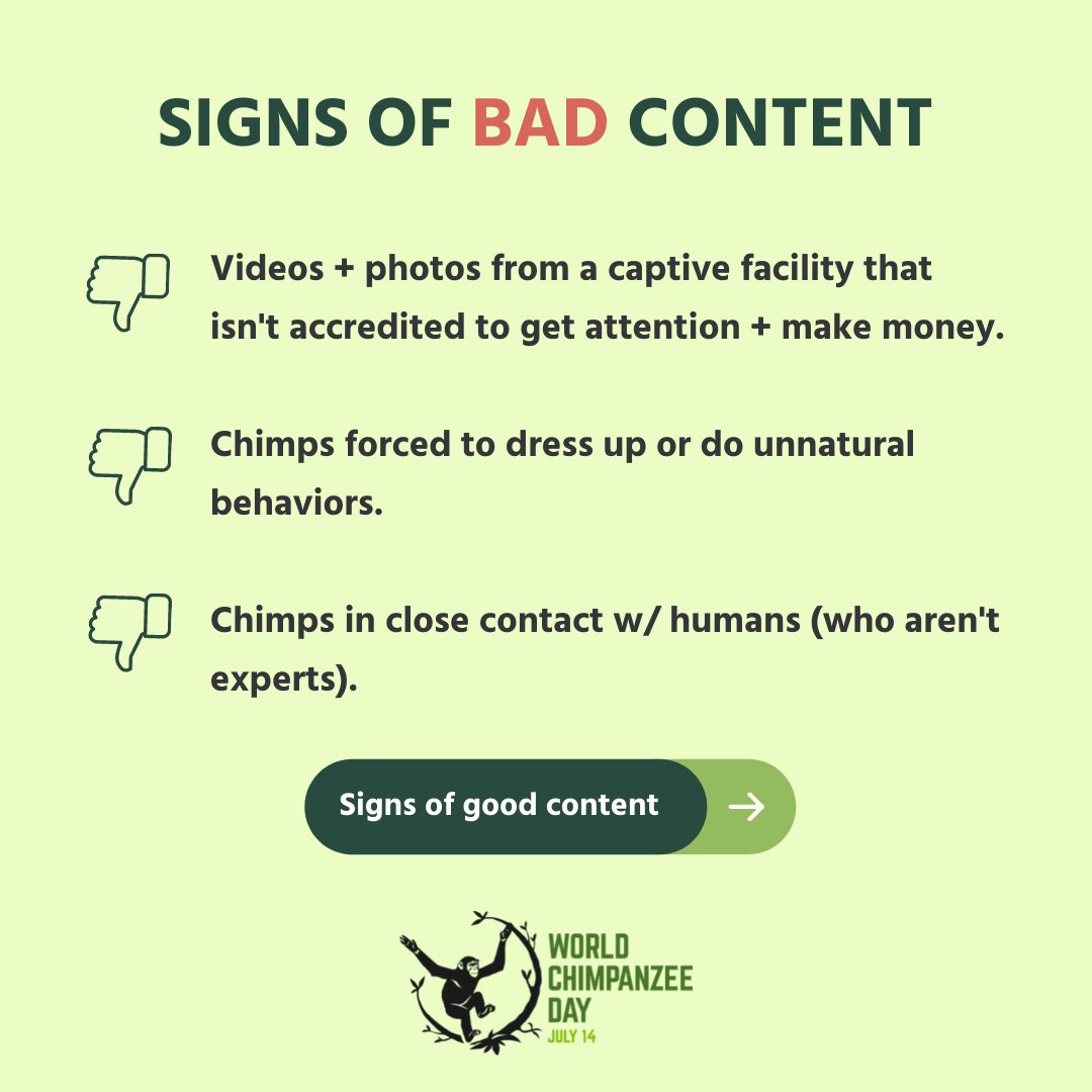 Dr. Jane Goodall & the Jane Goodall Institute tweet media