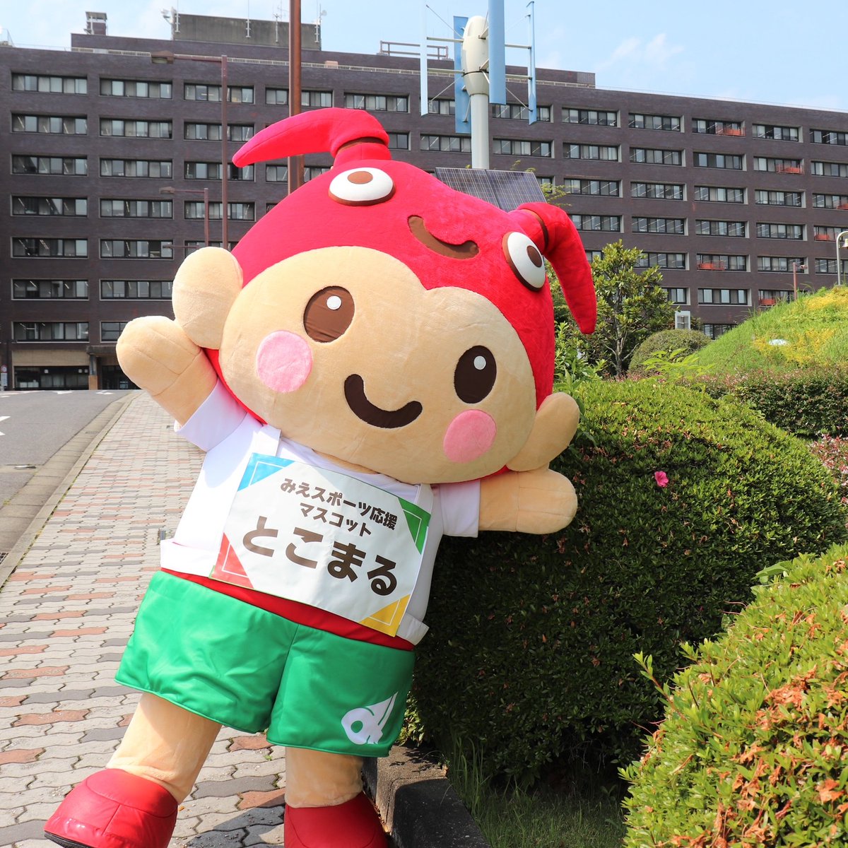tokomaru2021's tweet photo. 三重県スポーツ推進課では、みえスポーツ応援マ���コット #とこまる のイラスト（アイコン）提供や着ぐるみの貸出を行っています。
ご利用には申請が必要です。ホームページから利用規約等をご確認いただき、申請をお願いします。
https://t.co/bxIwWBGsTb https://t.co/WPaZfy1qoO