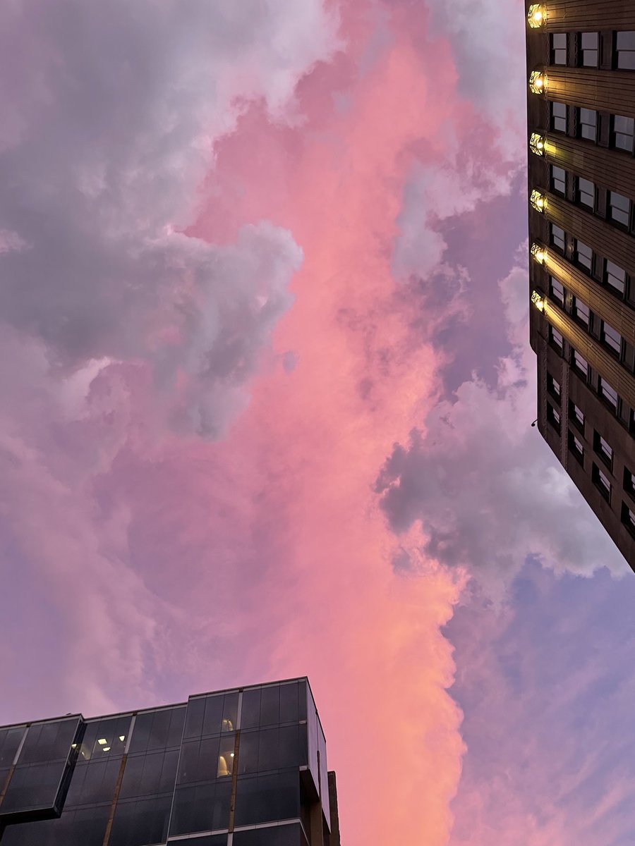 timothymphares's tweet image. 