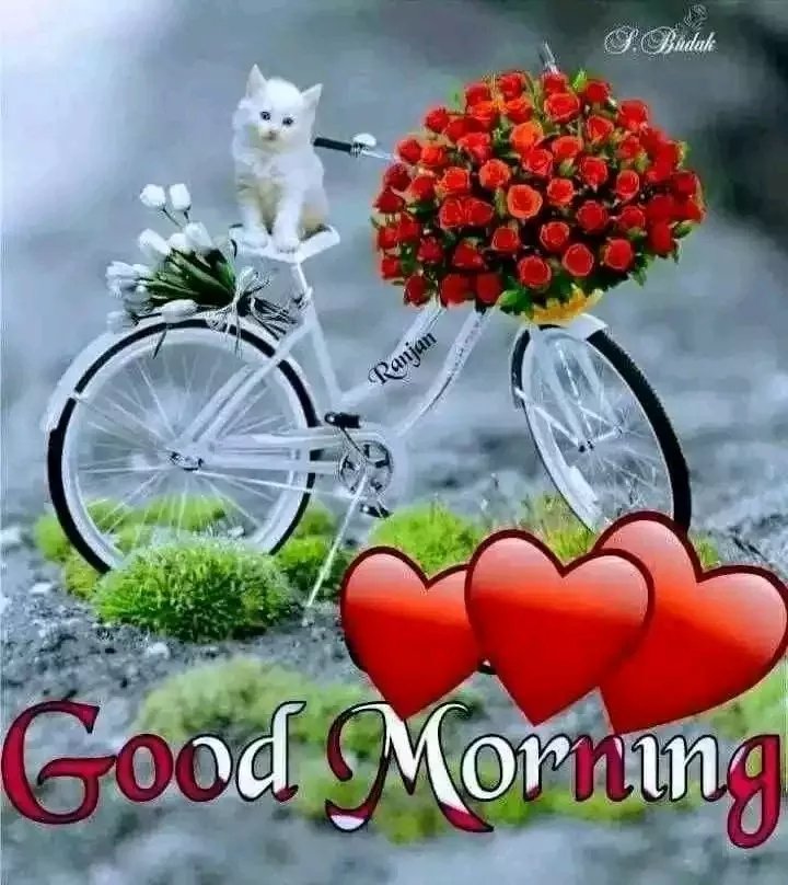 Good morning everyone happy to all time Jay Shri Ram Jay Shri Krishna 🙏