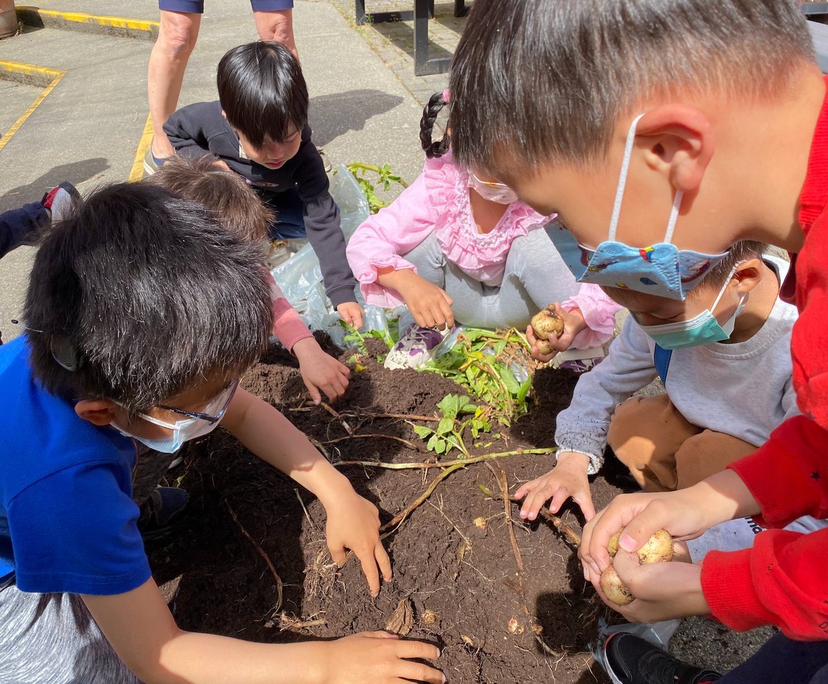 Rob Grantham tweet media