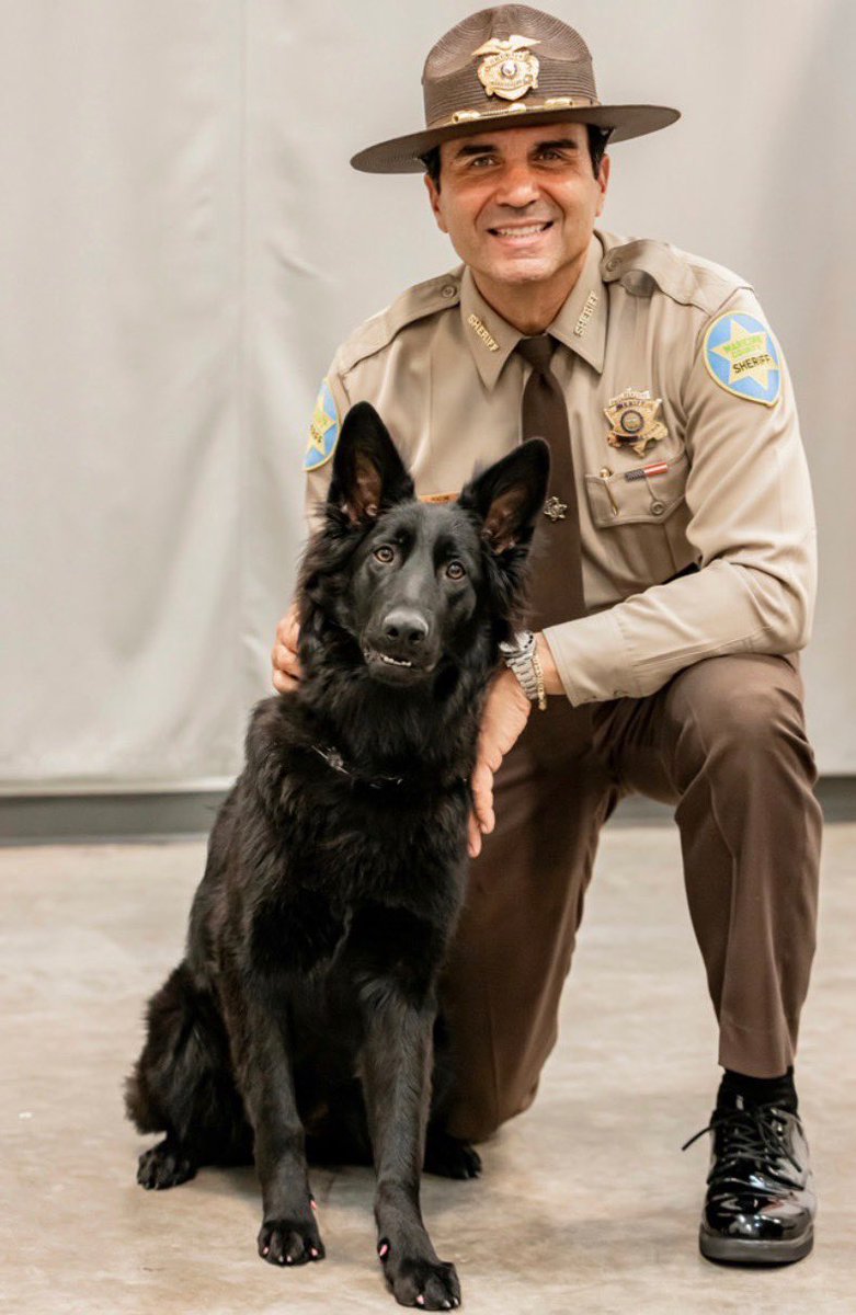 Penzone4sheriff's tweet photo. Meet Bella, the newest member of the Penzone Family. She brightens our day and keeps us on our toes. https://t.co/vwX4xx64W4