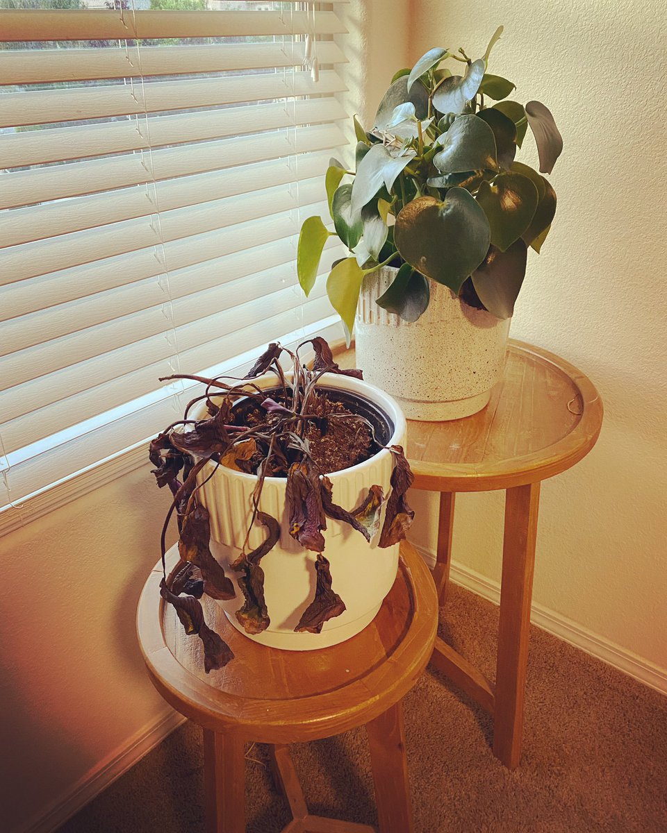 Literally killin’ it these days 😂