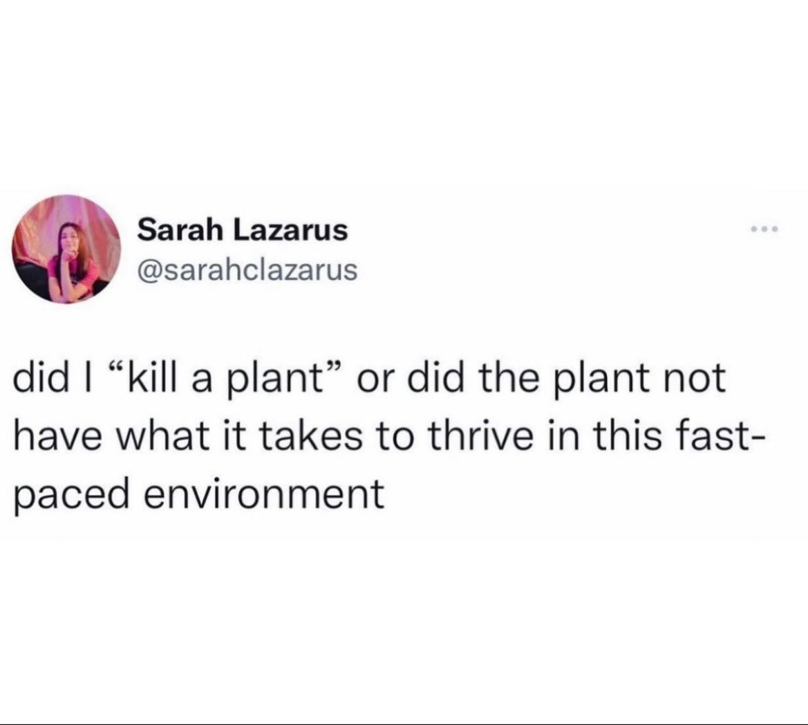 ACFate's tweet photo. Literally killin’ it these days 😂 https://t.co/qYVaI9D8Zh