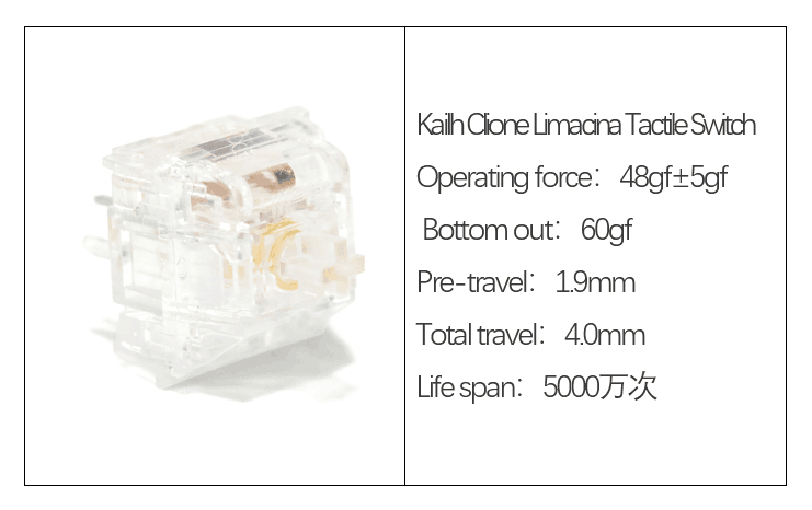 KailhSwitch's tweet photo. GIVEAWAYS Coming !!! 👇🏼👇🏼👇🏼
Kailh offer 70pcs of Clione Limacina Switches for you.🥳
#kailh #kailhswitch #kailhbox #kailhClioneLimacina #mxswitch
How To Enter It:
Follow me and Like and RT & @ two people.
Ends on Friday.🎁🎁 https://t.co/q8GG09AteG