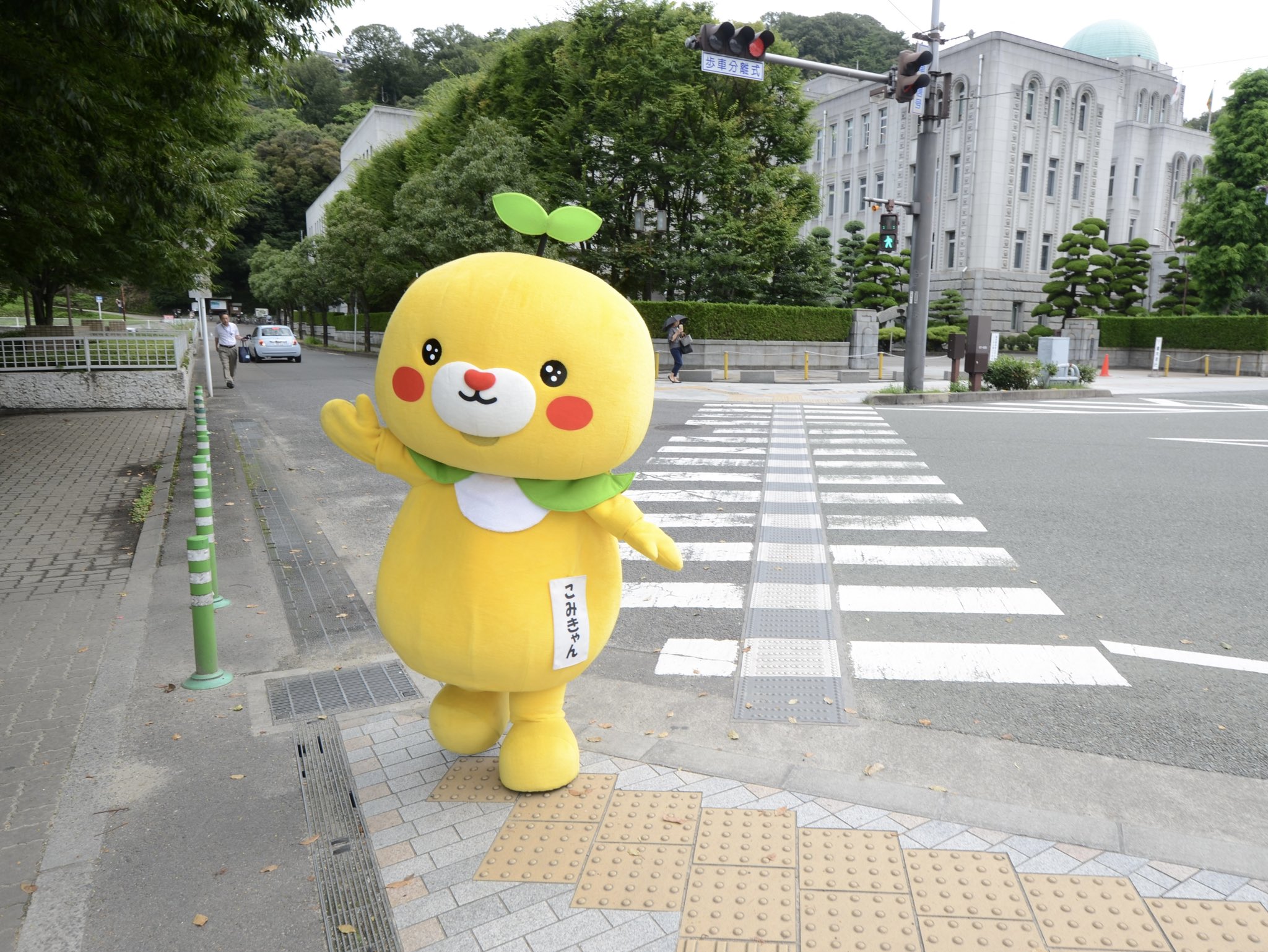 こみきゃん 公式 愛媛県 Uchinokomican Twitter