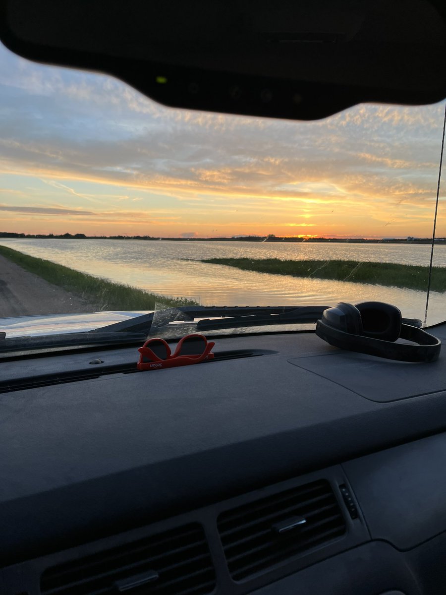 Darcy Timchishen tweet media