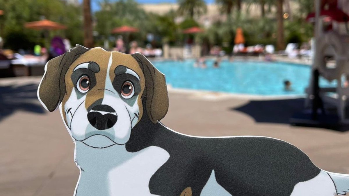 KaseyaCorp's tweet photo. Thanks to everyone who took Cooper on a walk while at #ConnectIT22!
Where are you going to take Cooper before you go home? Use the #ConnectWithCoop so we can stay up to date on all of his adventures! ๐ถ https://t.co/UZroqlQBcl