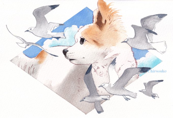 「flock seagull」 illustration images(Latest)