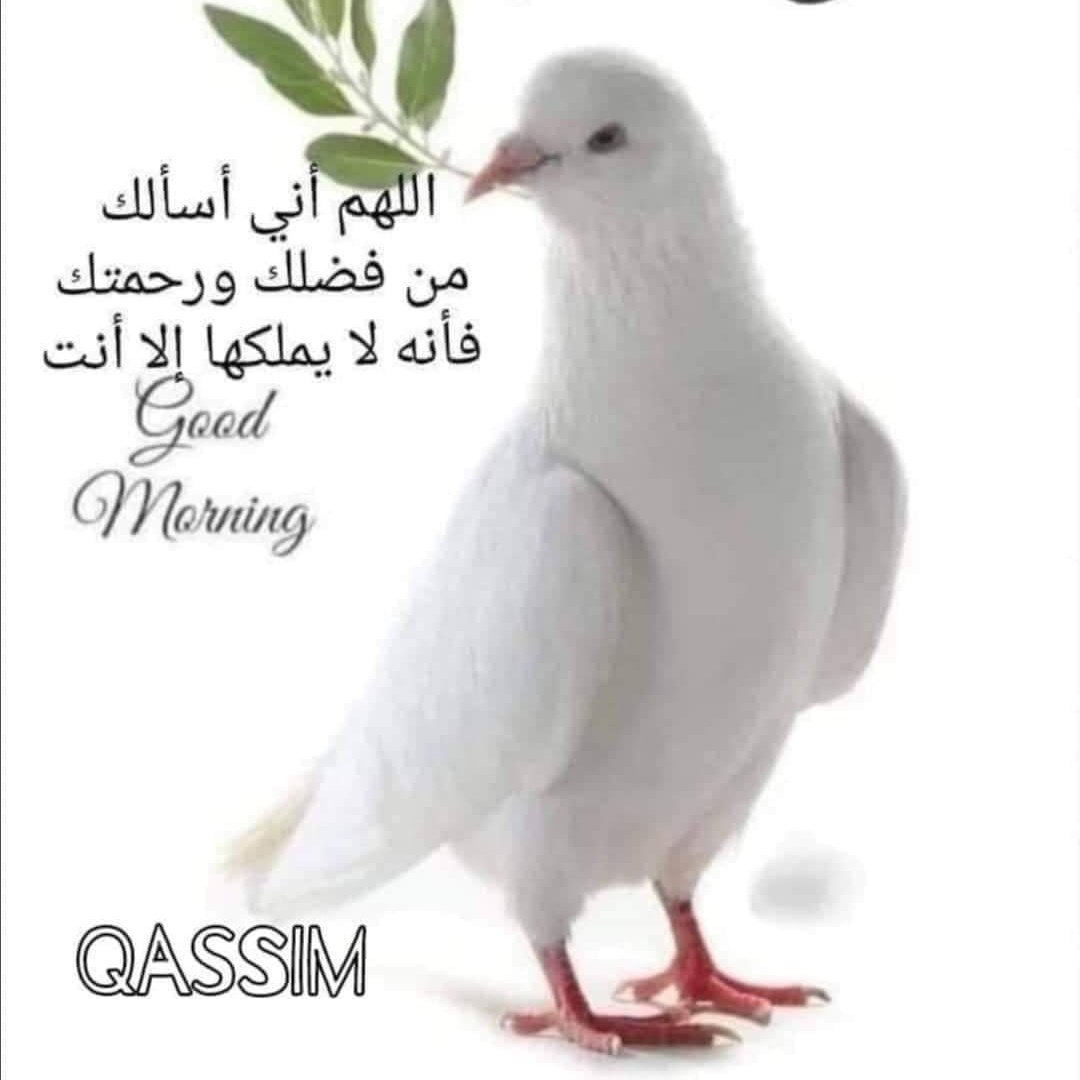 #صورة_ملف_شخصي_جديدة