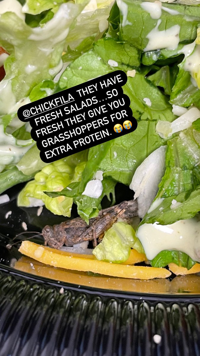 Jessica_Vitug's tweet photo. @ChickfilA #almostatehopper #freshsalads #fastfood #bugslife #onlyinarkansas smh 🤢😩 https://t.co/QUMtMEvvQF