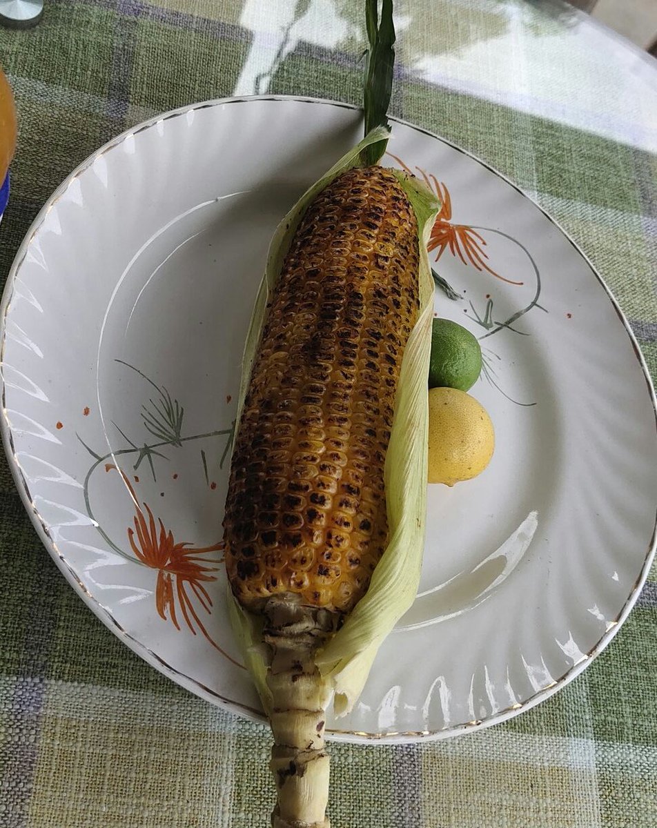 Parveen60531392's tweet photo. 🌽🌽🌽🌽 https://t.co/56IuZb01hU
