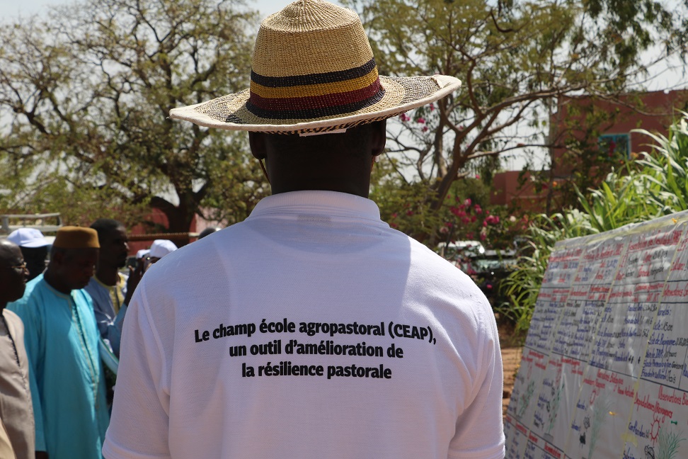 FAOSenegal's tweet image. Quelques-uns des modules dispensés:

🧑🏿‍🌾Organisation et gestion d’un #CEAP 
🐑Amélioration de la santé animale
🐓Bonnes pratiques avicoles rurales
🌱Installation de parcelle fourragère pour les apprentissages pratiques

📍Départements cibles du #SD3C: Podor, Kanel &amp;amp; Goudiry