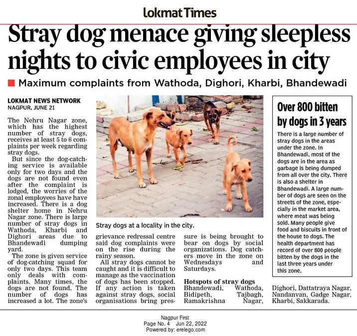 LokmatTimes_ngp's tweet photo. Nehru Nagar zone receives five to six complaints per week regarding stray dogs
#straydogs #dogsbite #dogs #dogsmenace #nmc
@ngpnmc @nmccommissioner @vijayjdarda @nknayak17 @wordsmith01 https://t.co/iEw2kAfpJD