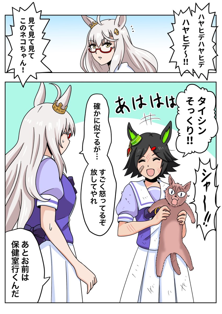 ニャリタタイシンその後。 
