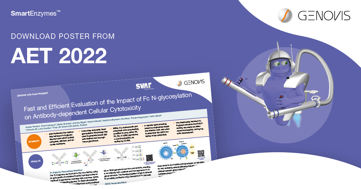 Get your copy of the poster on the impact of Fc N-glycosylation on antibody-dependent cellular cytotoxicity (ADCC) that we presented at the Antibody Engineering and Therapeutics meeting in Amsterdam!

genovis.com/transglycit-po…

#genovis #smartenzymes #transglycit #antibodyeng
