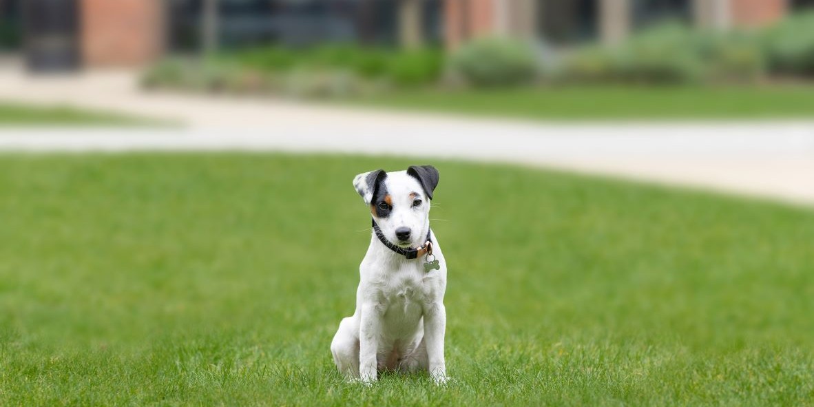 King's High School tweet media