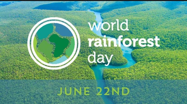 alka_chaursiya's tweet photo. #WorldRainforestDay 
22 June 2022 https://t.co/XLeXFkefTk