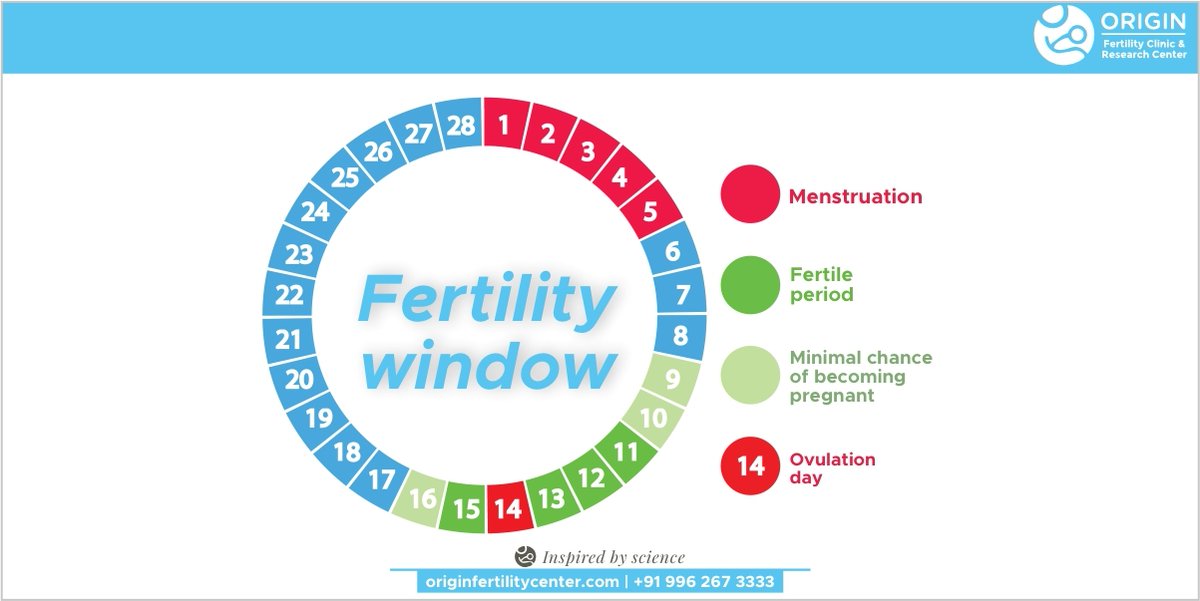 Knowing when ovulation happens is critical when you want to get pregnant because the window of opportunity to conceive is fairly small every month. 

#originfertilitycenter #insemination #drrinkee #Hyderabad #hitechcity #biznesssquare #icsi #ivf #menstruation #fertile #period