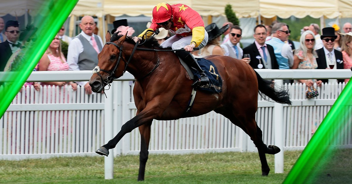 Post Royal Ascot, Cartier Horse of the Year standings: 🥇 State Of Rest 🥈 Baaeed 🥈 Coroebus 🥉 Tuesday Who'll finish on top?