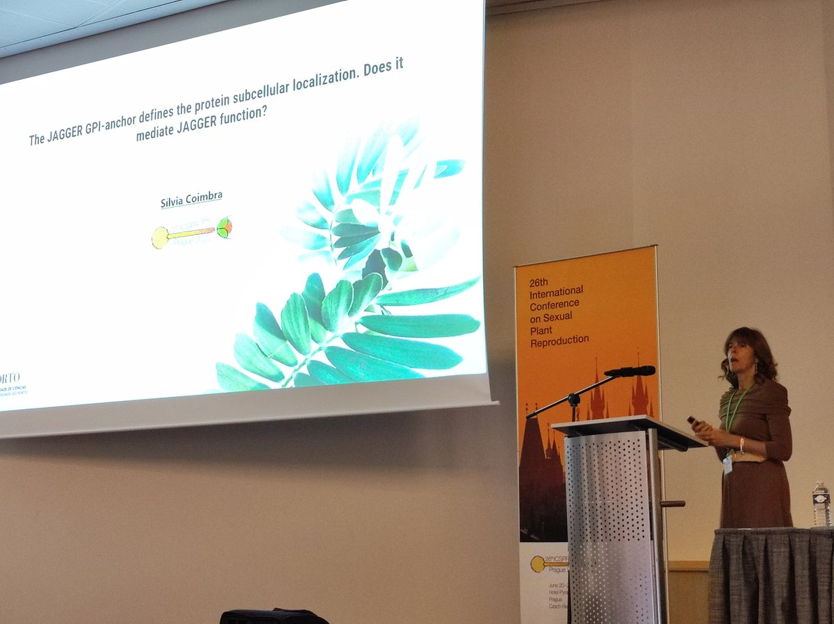 iasprr's tweet photo. Our second speaker is Sílvia Coimbra @scoimbra_silvia @spredlab talking about how the JAGGER GPI-anchor defines the protein subcellular localization  #ICSPR2022🌱. https://t.co/nyucqbCuqn