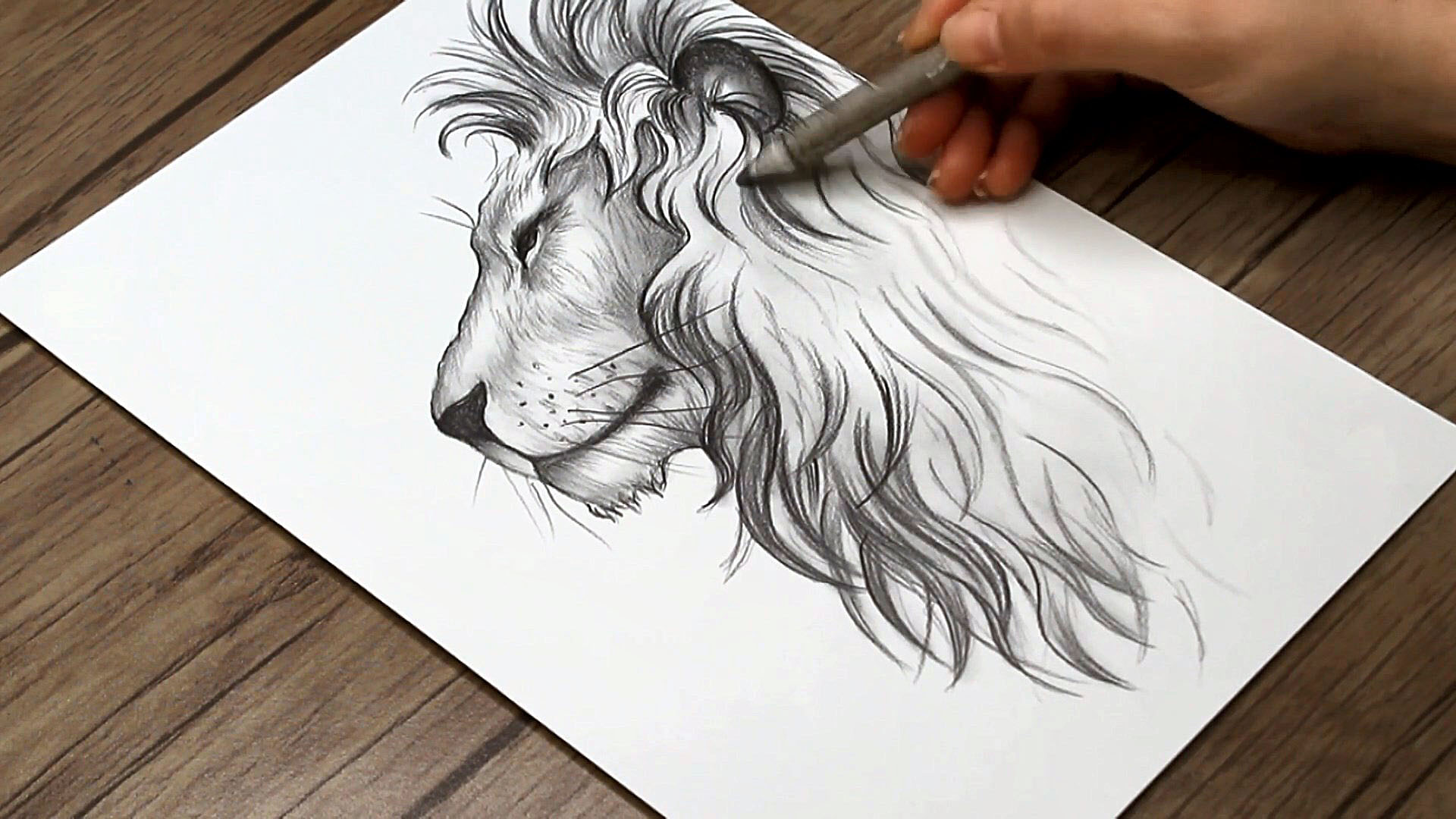 Share more than 163 lion pics to draw latest