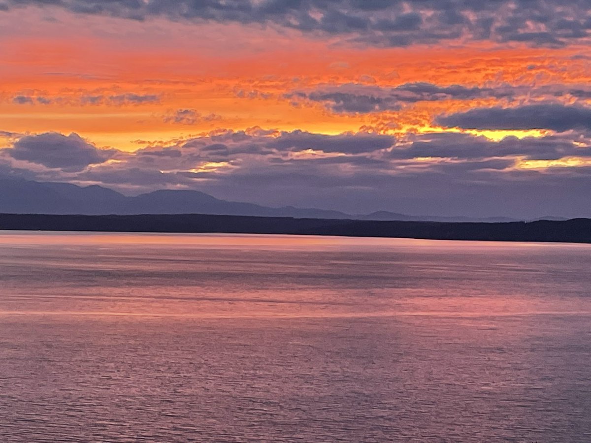 TedDubinsky's tweet image. Summer solstice 2023