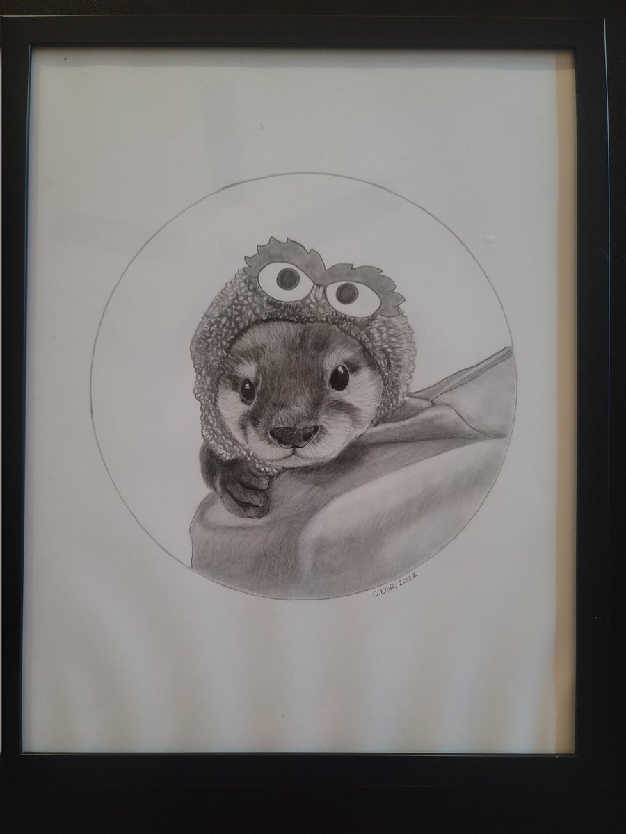 c_egri's tweet photo. My spirit animal collection 🦦 https://t.co/b1PoNvIkUm