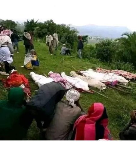 Ethiopian Patriot tweet media