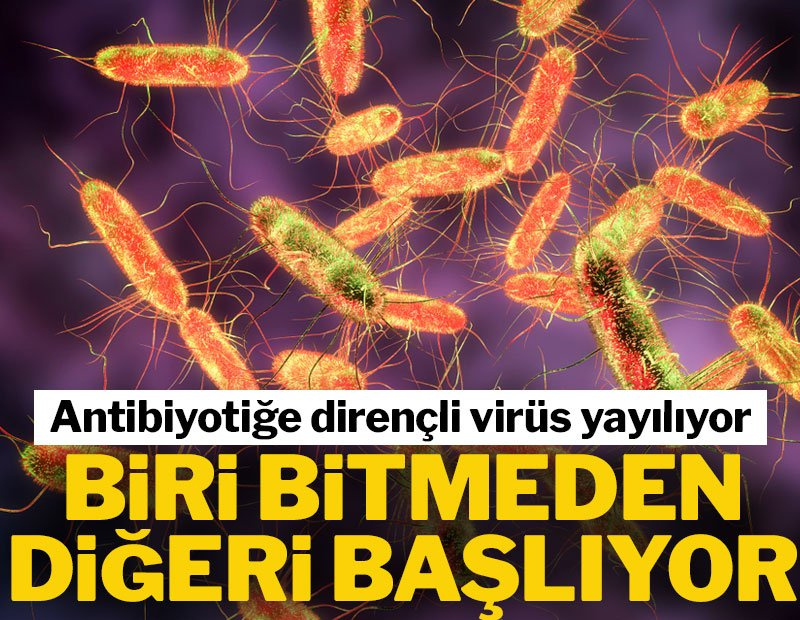 gazetesozcu's tweet photo. Antibiyotiğe dirençli tifo bütün dünyaya hızla yayılıyor
https://t.co/GqiD9BlcrX https://t.co/tvJL0dVx7J