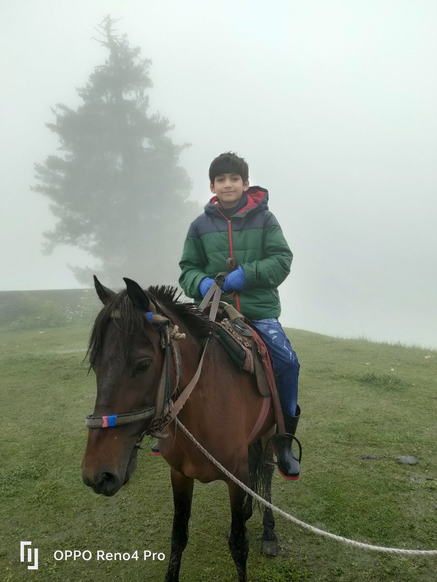 BikerUmar's tweet photo. Kitni khoob sootarat ye tasveer he ye kashmir he ye kashmir he https://t.co/x1gfhgHIzi