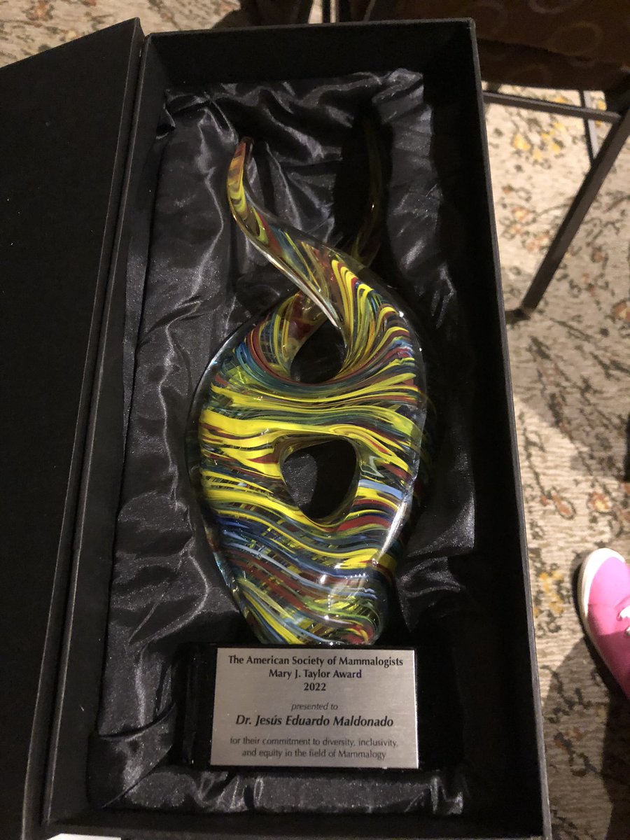 melissa hawkins tweet media