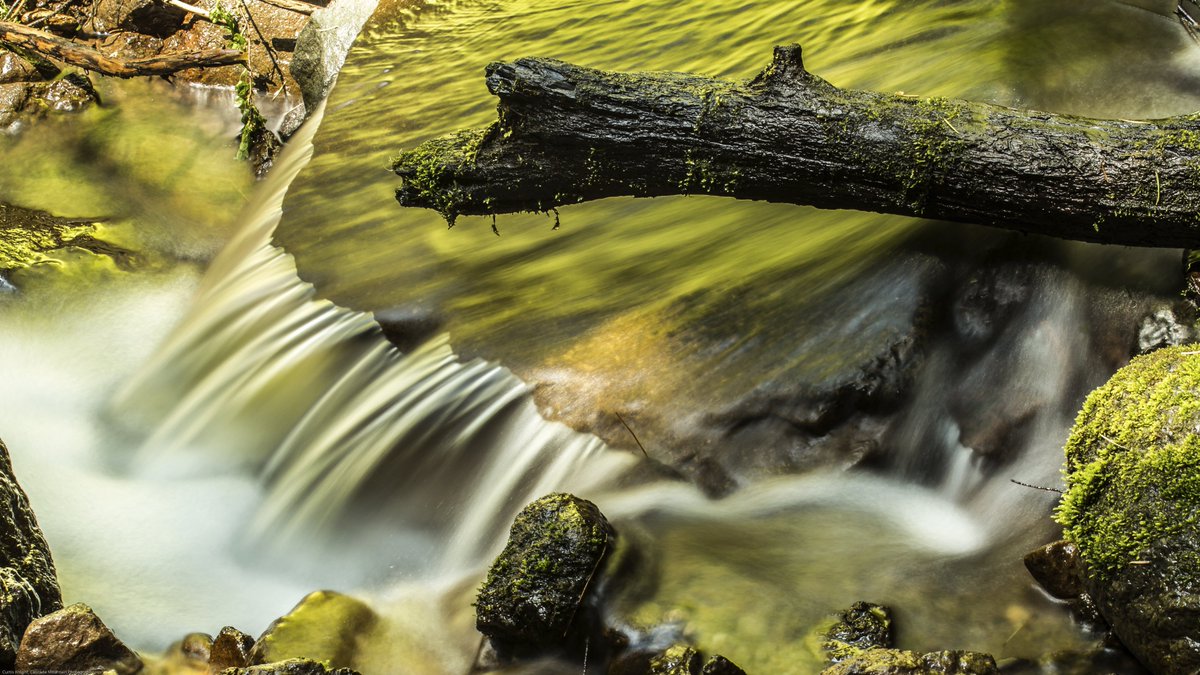 Random stream in #GiffordPinchot #NationalForest

#photography #stream #NaturePhotography #Waterfall