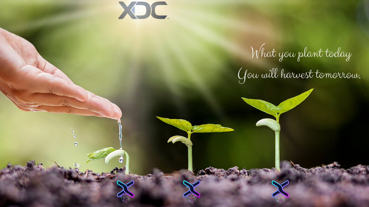 9 days till the end of Q2 &amp; we are on track of our schedule of Q2-Q3.

Who's excited for <a href="/XSwapProtocol/">XSwap Protocol</a> 's farming platform?  I am! 🙋‍♀️

$XDC $XSP $XTT