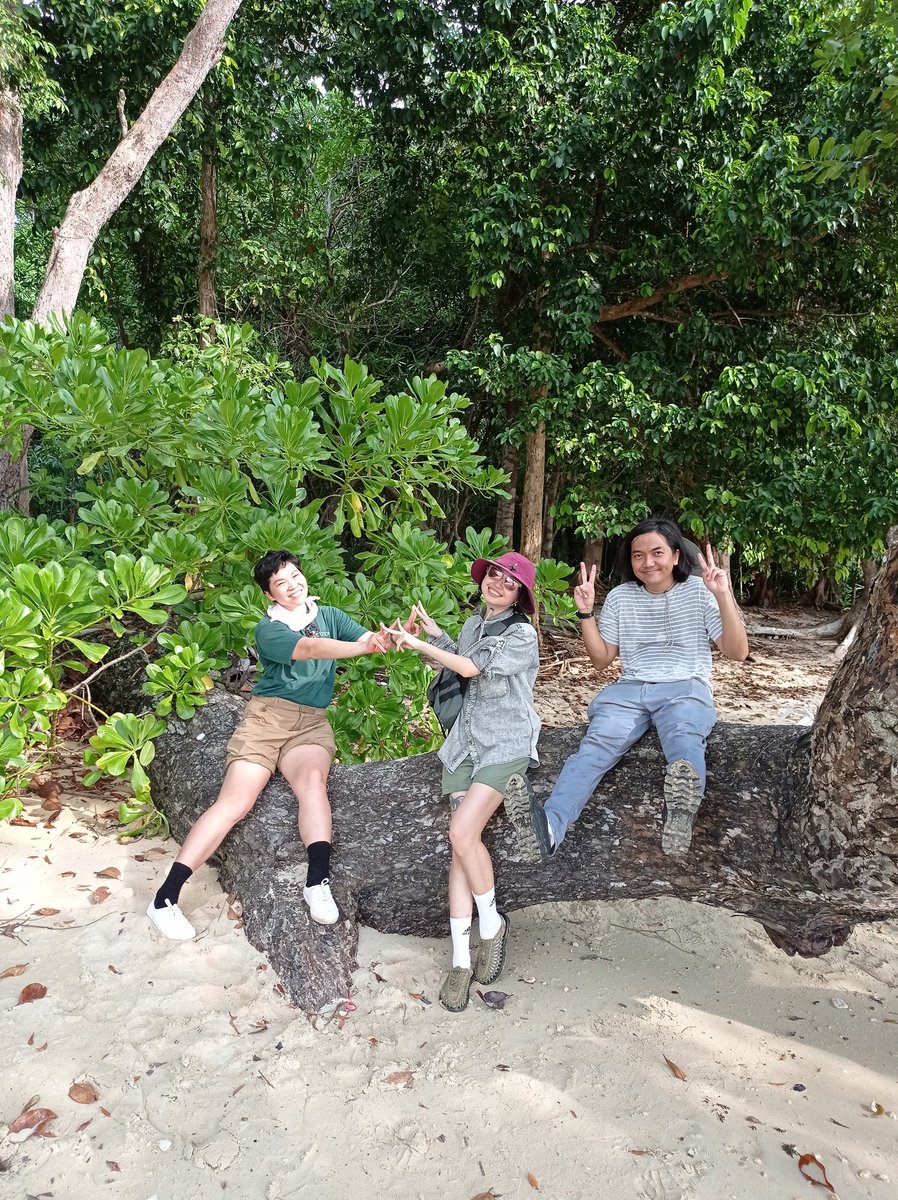 zedecksiew's tweet photo. Over the weekend we made a pilgrimage to Sharon's favourite bintangor tree, on a beach in the nearby forest reserve.

1/

#localflora #localfauna https://t.co/Cx9c2hagZ5