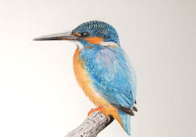 始めるきっかけのtwitterイラスト検索結果