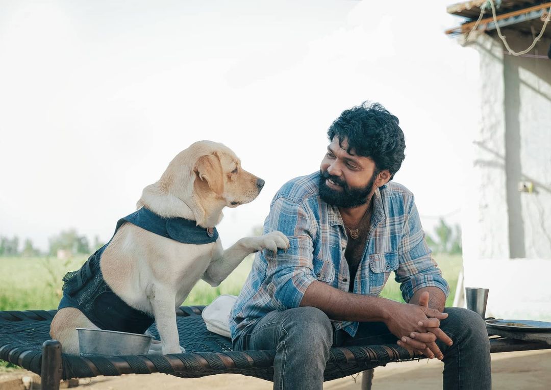 Vinaykulkarni91's tweet photo. Rating 3/5 - Feel Good Movie
#777Charlie is a great emotional movie. Best attempt by team.
Beautiful story 🥺
It's so connecting to dog lovers and others too. Dogs love is 🐕 ❤️
It's really amazing the way Charlie acted & @rakshitshetty
#777charliereview #doglovers https://t.co/Scatg7xB8S