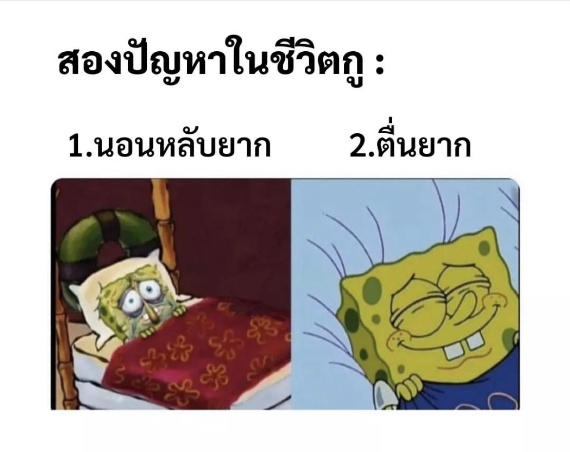 ช่างแม่ง🐰🏳️‍🌈 tweet media