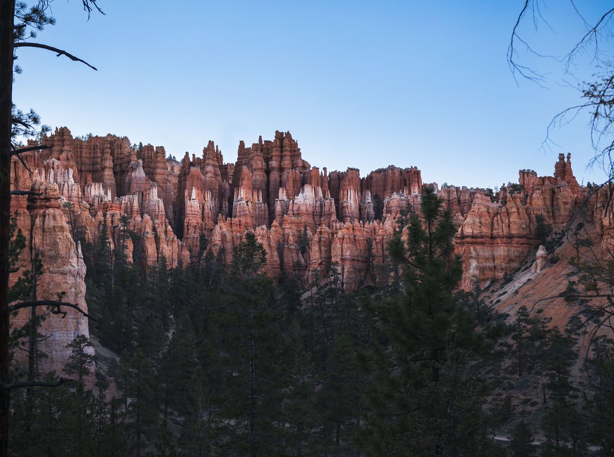 Mark_Mroz's tweet photo. This 1 is a crowd pleaser @BryceCanyonNPS #@CanonUSA #canon #landscapephotography #nationalpark https://t.co/UueI6rzi0F