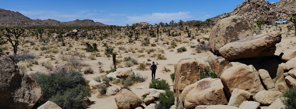 Aries Lukman tweet media