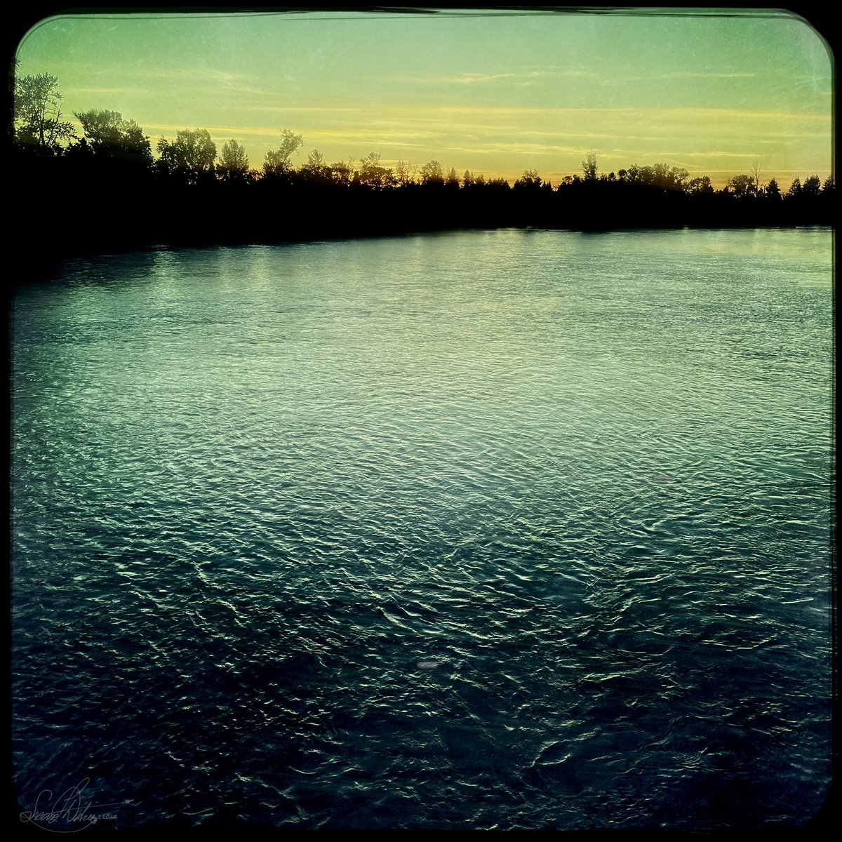sdetroy's tweet photo. #Solstice with evening light #atthebridge
@Hipstamatic I adore this app
And gathering for #NFTcollections https://t.co/7zvvBmxDZc