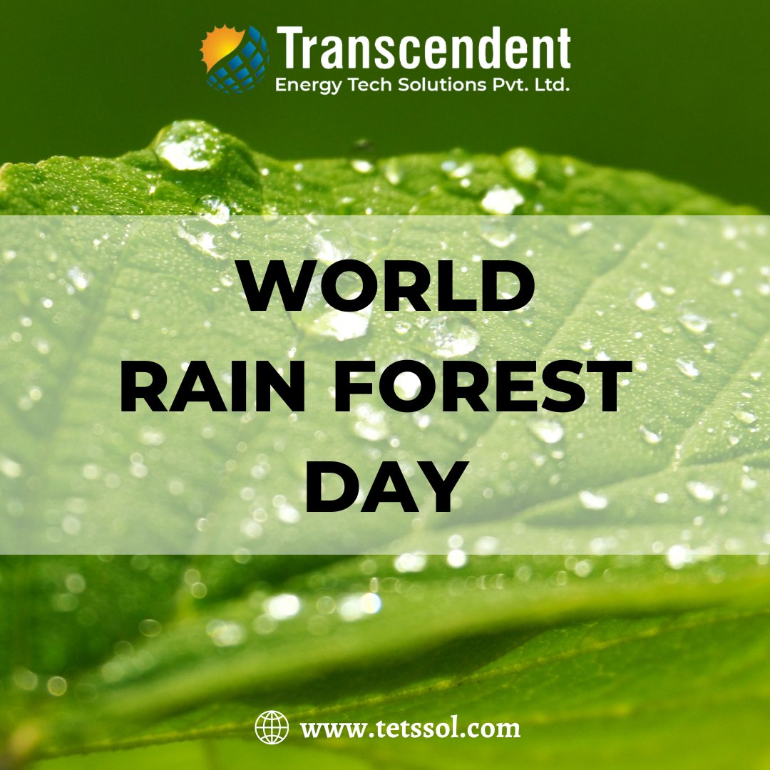 #WorldRainforestDay Photo,#WorldRainforestDay Photo by Transcendent Energy Tech Solutions Pvt. Ltd.,Transcendent Energy Tech Solutions Pvt. Ltd. on twitter tweets #WorldRainforestDay Photo