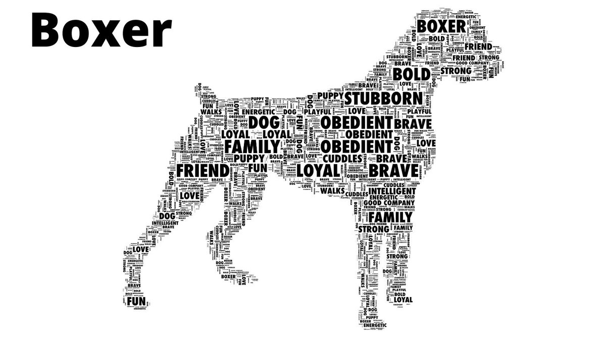 Boxer, Bernese Mountain Dog or Weimaraner Personalised Dog Word Art Print. A great gift for a dog lover. go.shr.lc/2Vxcshj  #UKHashtags #TweetUK